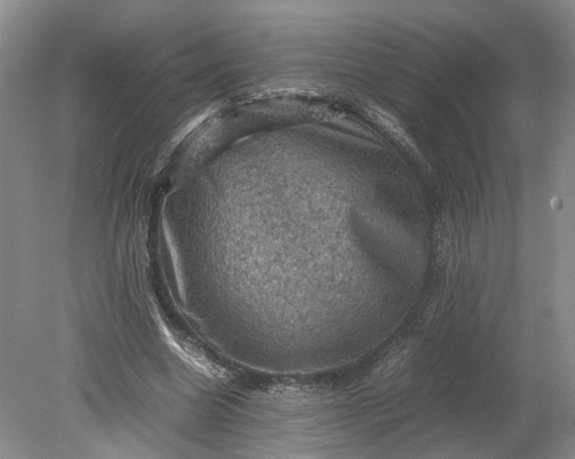 X0000079280538200612011700