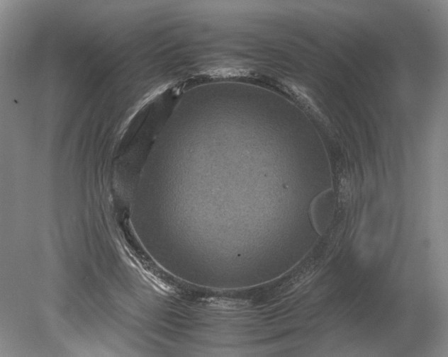 X0000079280539200612011700