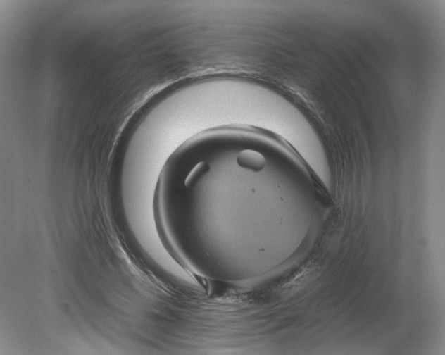 X0000079280540200612011700