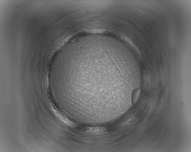 X0000079280541200612011701