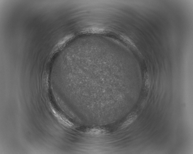 X0000079280542200612011701