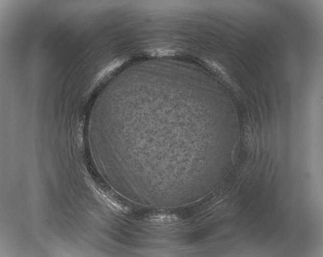 X0000079280543200612011701