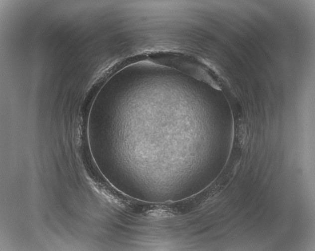 X0000079280544200612011701