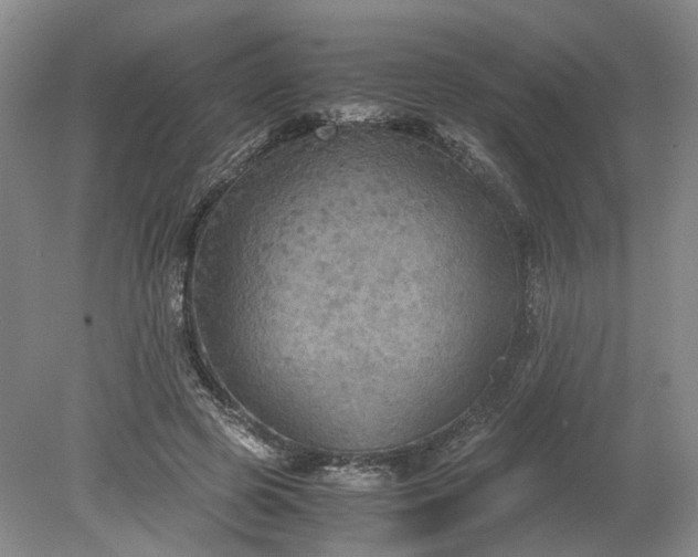 X0000079280545200612011701