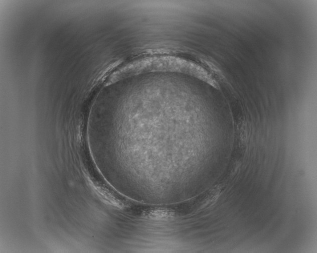 X0000079280546200612011701