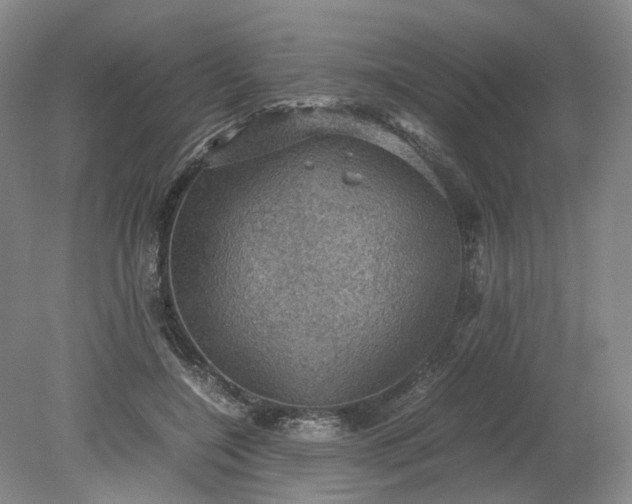 X0000079280548200612011701