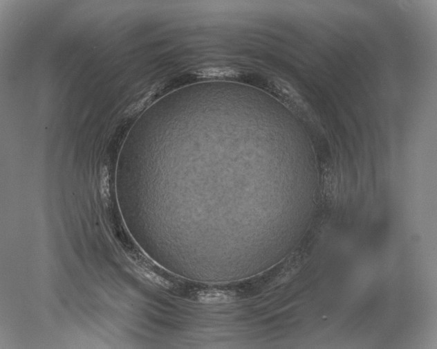 X0000079280549200612011701