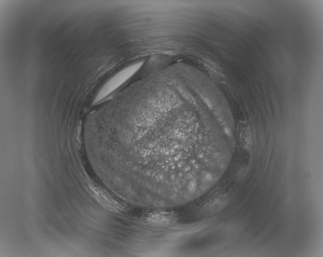 X0000079280550200612011701