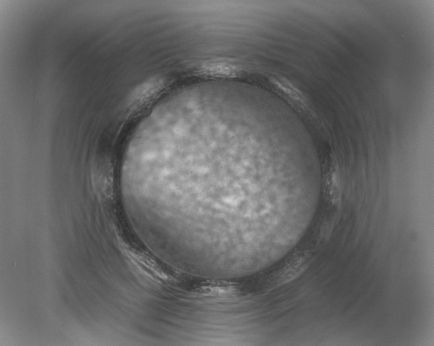 X0000079280552200612011701