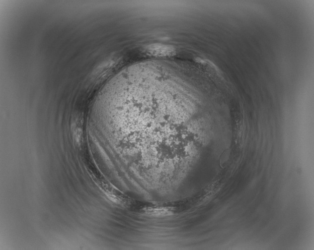 X0000079280553200612011701