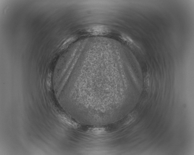 X0000079280554200612011701