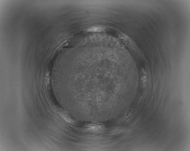 X0000079280555200612011701