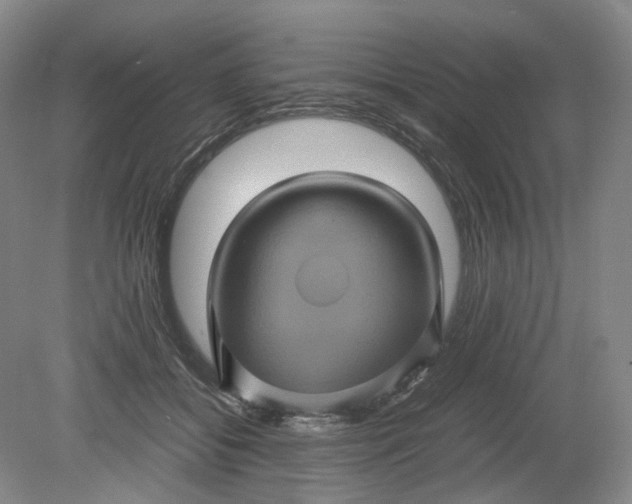 X0000079280556200612011701