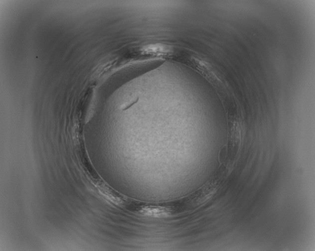 X0000079280557200612011701