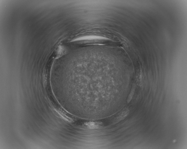 X0000079280558200612011701