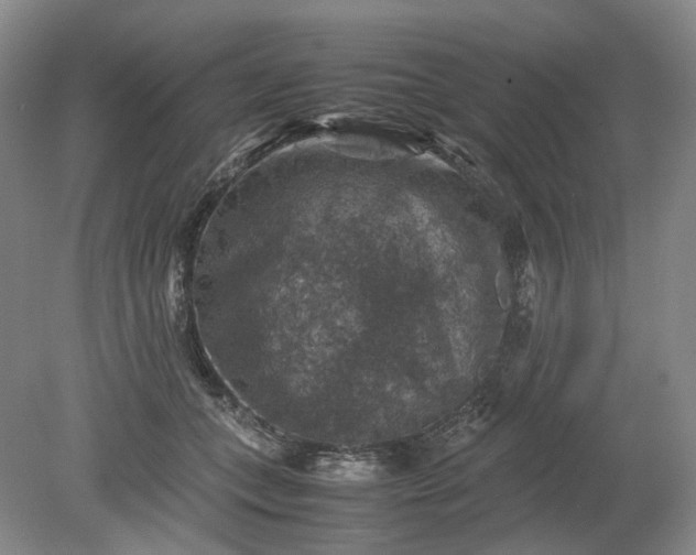 X0000079280559200612011701