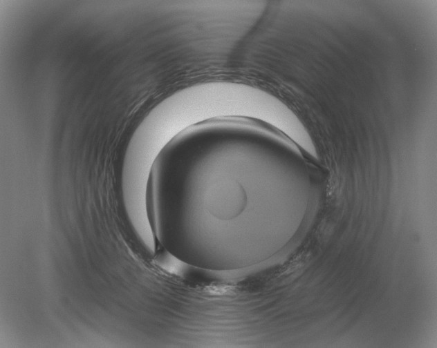 X0000079280560200612011701