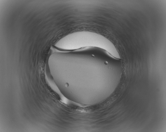 X0000079280561200612011701