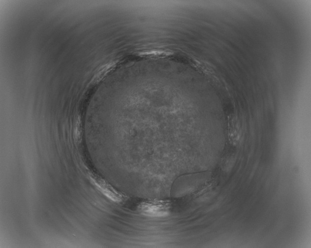 X0000079280563200612011701