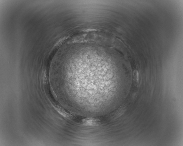 X0000079280564200612011701