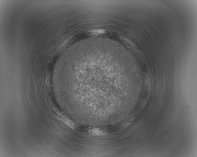 X0000079280565200612011701