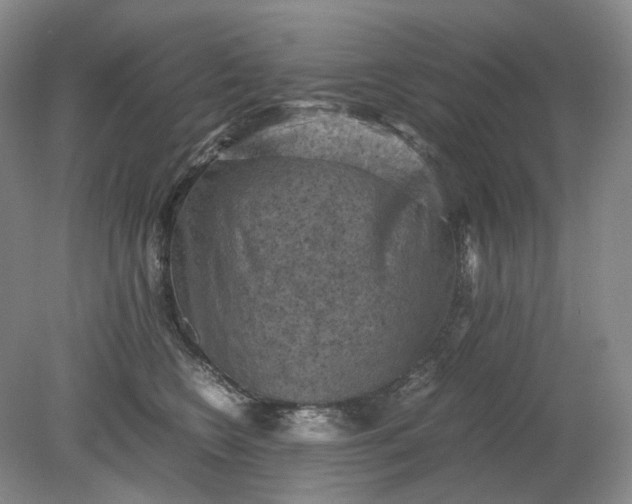 X0000079280566200612011701