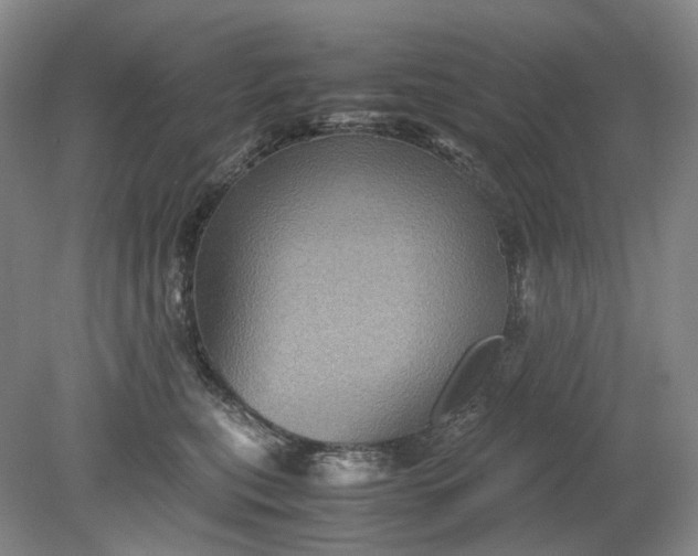 X0000079280567200612011701