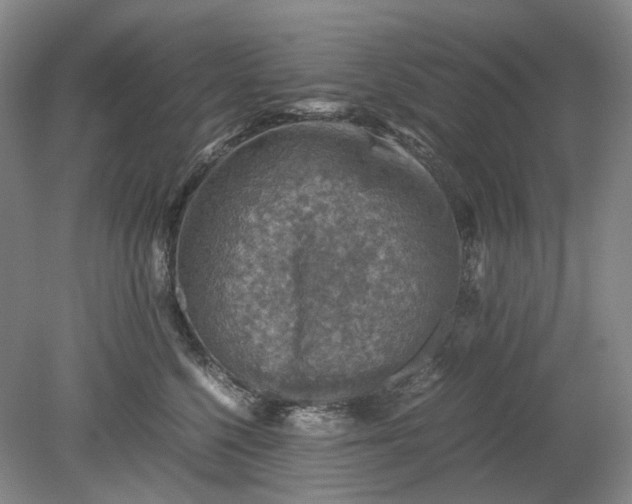 X0000079280568200612011701