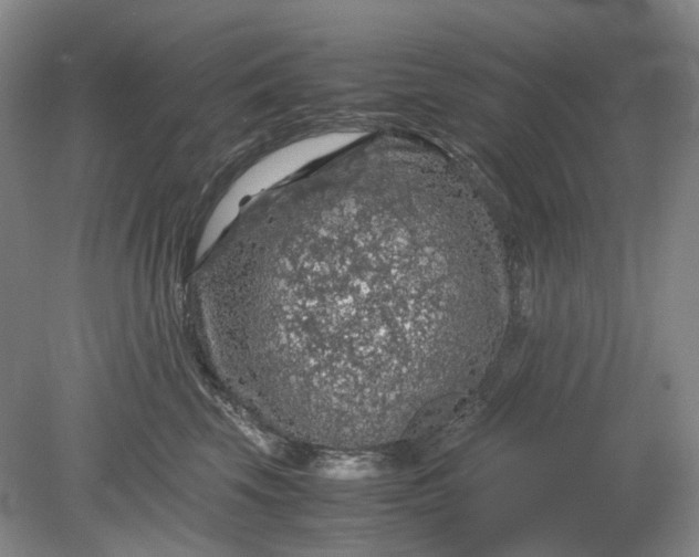 X0000079280569200612011701