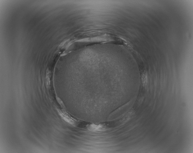 X0000079280570200612011701