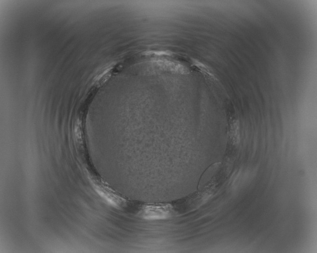 X0000079280571200612011701