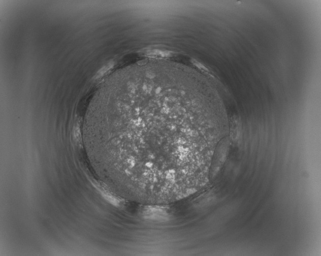 X0000079280573200612011701