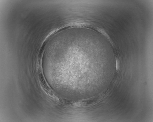 X0000079280579200612011700