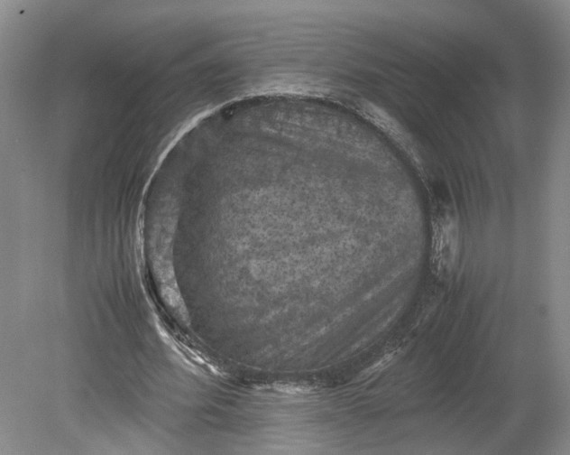 X0000079280580200612011700