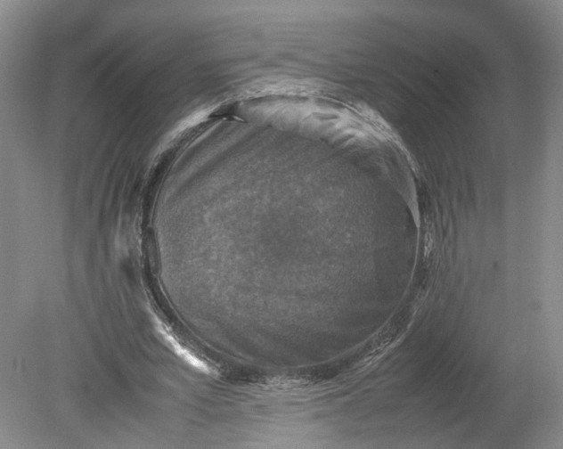 X0000079280581200612011700