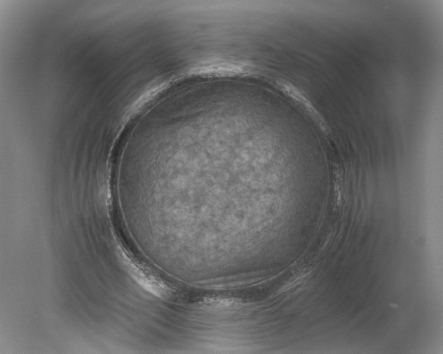 X0000079280582200612011700