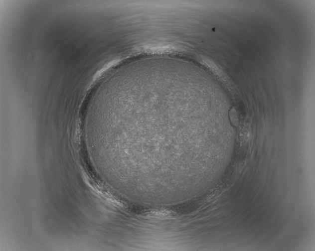 X0000079280583200612011700