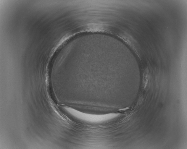 X0000079280584200612011700