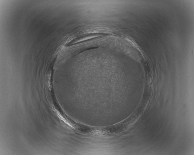 X0000079280585200612011700