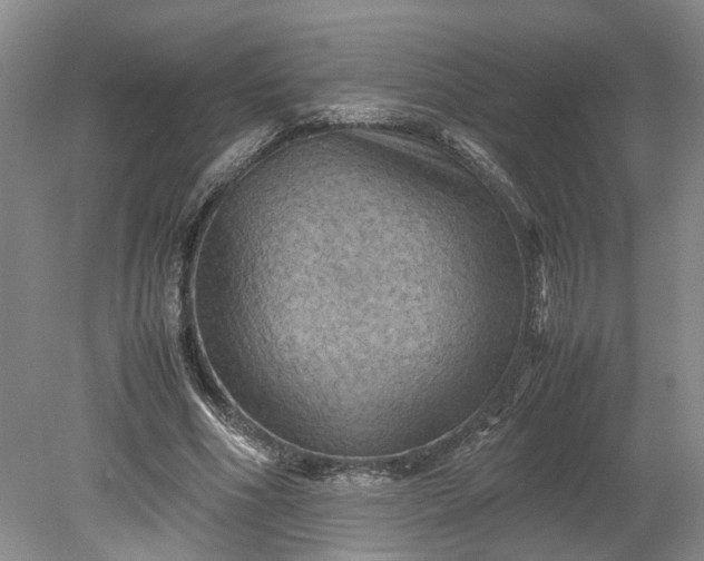 X0000079280586200612011700