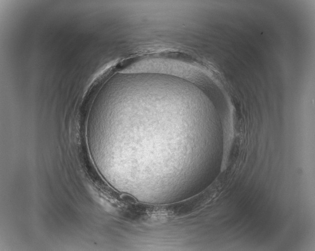 X0000079280587200612011700