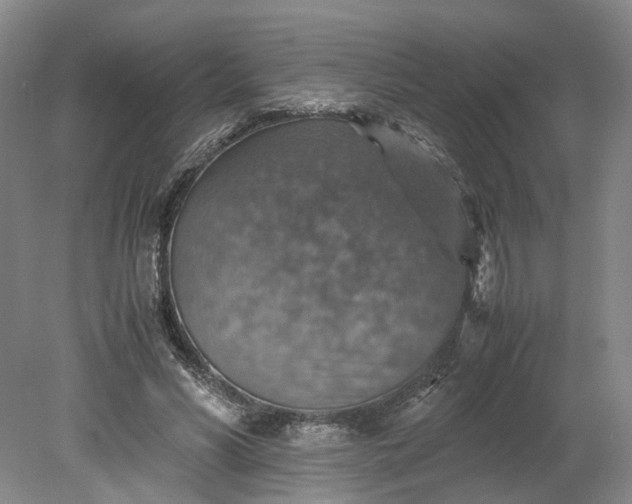 X0000079280590200612011700