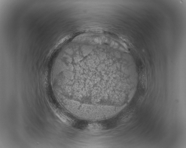 X0000079280591200612011700