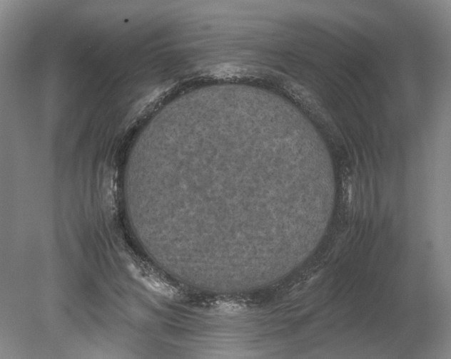 X0000079280592200612011700