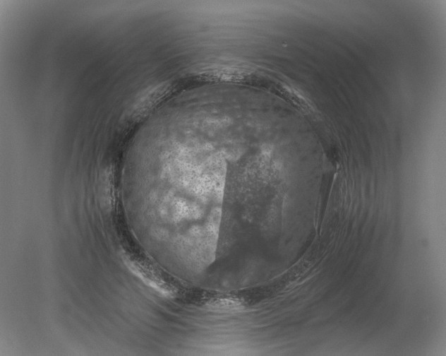 X0000079280594200612011700