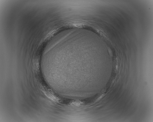 X0000079280595200612011700