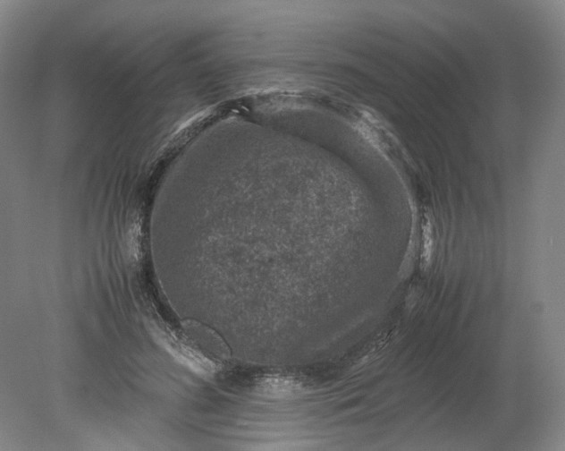 X0000079280596200612011700