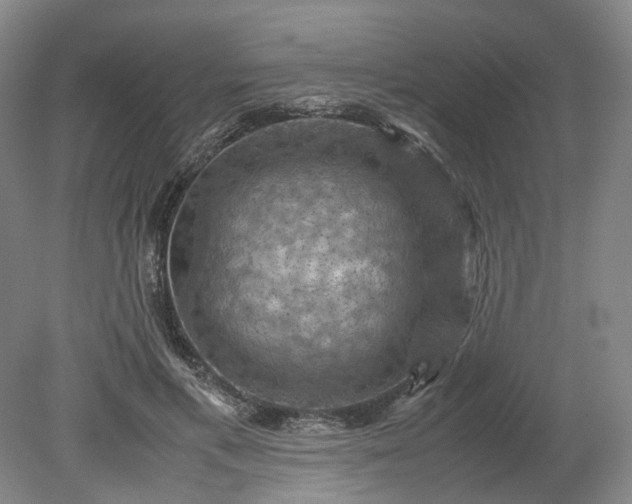 X0000079280597200612011700