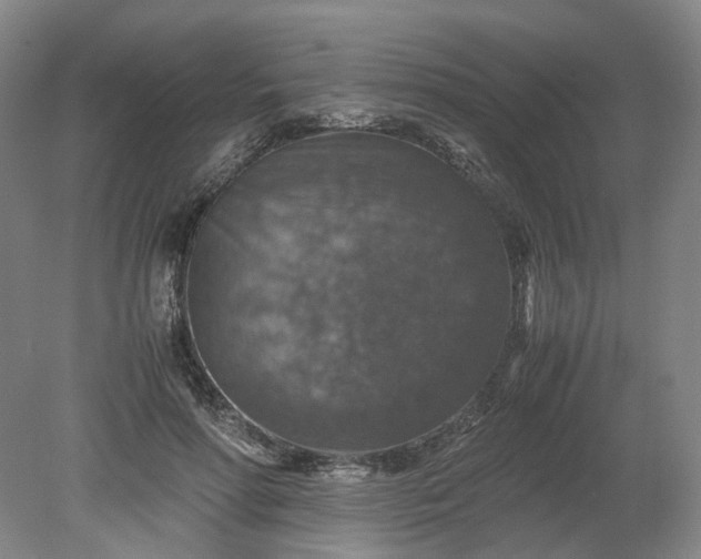 X0000079280598200612011700