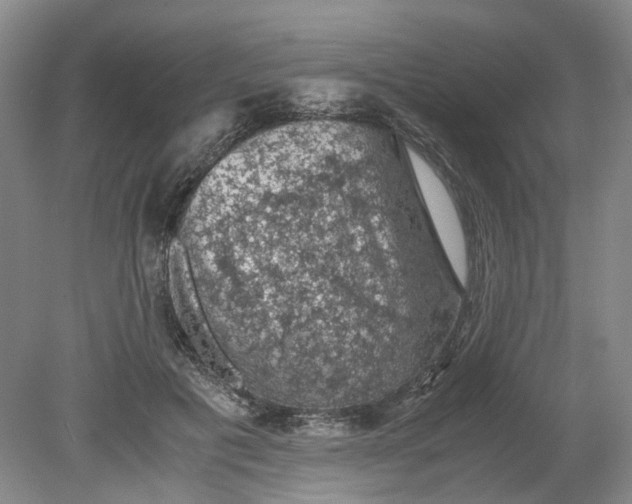 X0000079280601200612011700